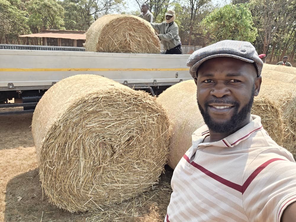 Hay stored for goats